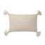 Tillie Lumbar Pillow Cover & Insert