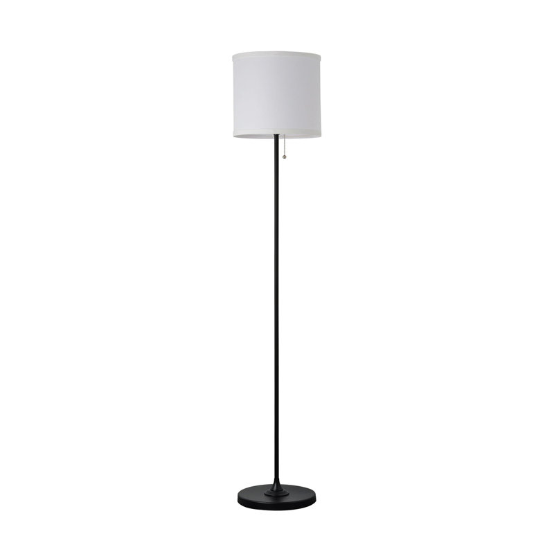 Hayllar 57'' Black Traditional Floor Lamp