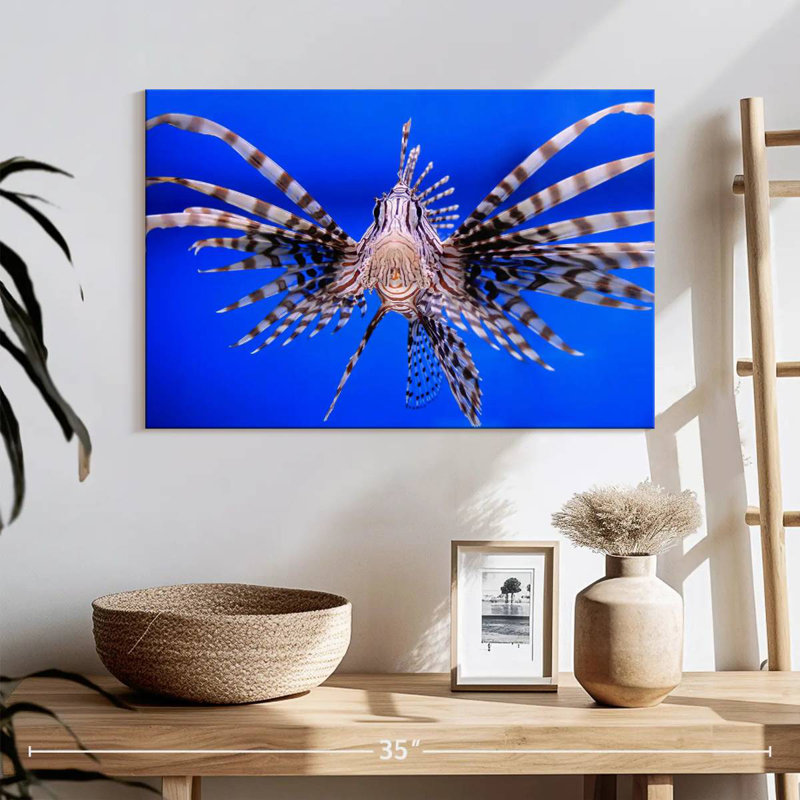 Crowle Lionfish Close Up