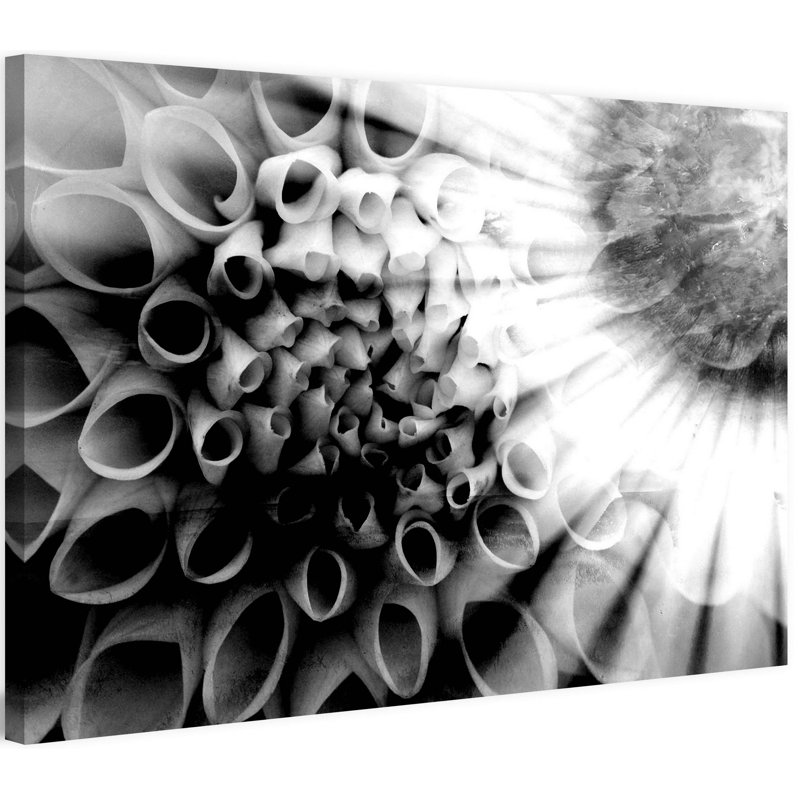 Parvez Taj - Wrapped Canvas Print, 51cm H x 76cm W