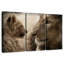 Brampt et son lion-106801426