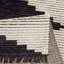 Tapis noir et ivoire moderne