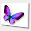 Violet et papillon bleu - reproduction sur toile-59710493-59710484