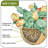 Espalda Plant Stand-4121660