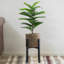 Indro Metal Plant Stand