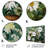 Plants & Flowers Wall Decor on Metal