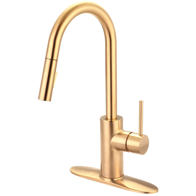 Pioneer Motegi Pull Down Kitchen Faucet, Brushed Gold