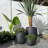 Dorlis Fiberstone Pot Planter-888476432-888476457
