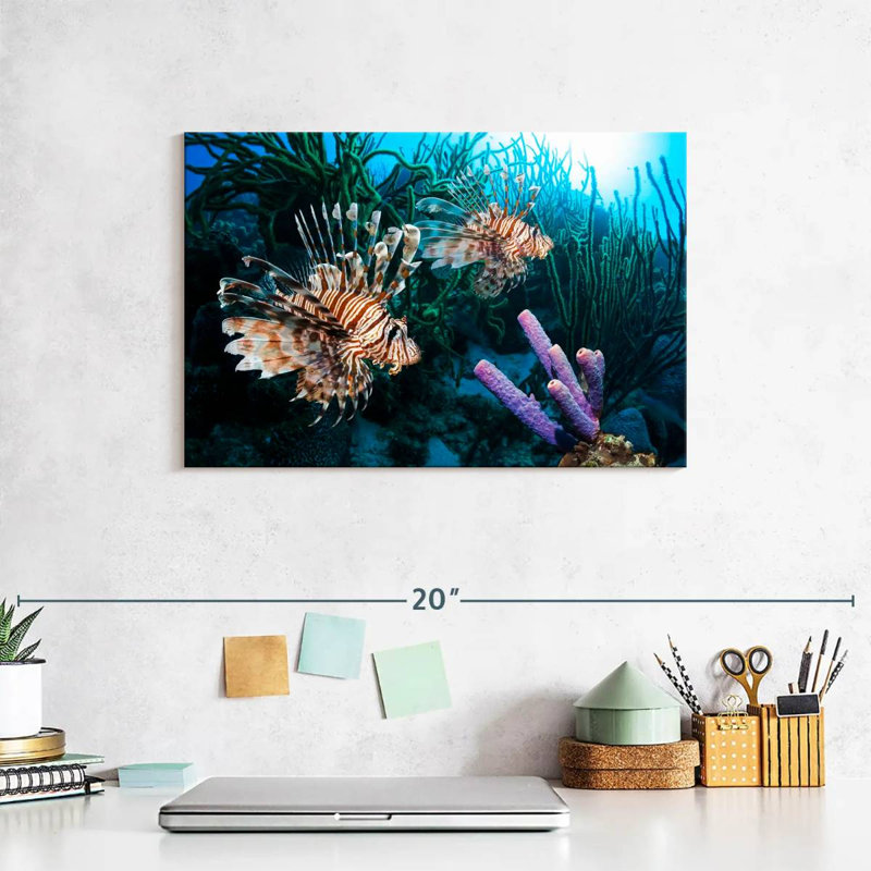 Brampt Atlantic Ocean Lionfish, 8" H x 12" W