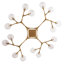 Mahowald 16 - Light Chandelier