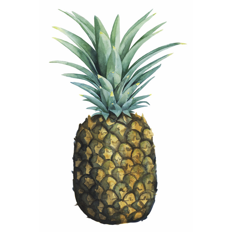 Pineapple I - Wrapped Canvas Painting, 122cm H x 81cm W