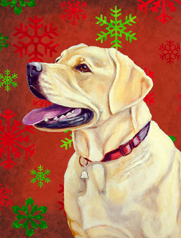 Drapeau rouge et vert Vart, Labrador 4