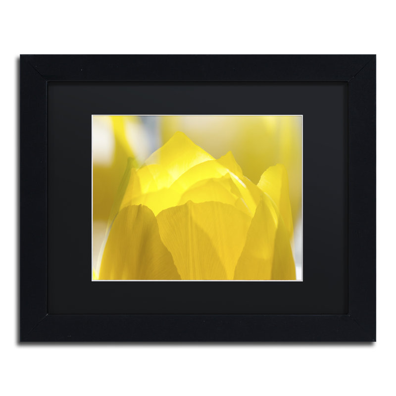 « yellow tulipe » par kurt shaffer, reproduction de photo encadrée, H 11 po x l 14 po x P 0,5 po, Noir