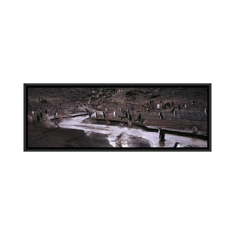 Reproduction de photo panoramique sur toile, H 12 po x l 36 po x P 1,5 po, Toile avec cadre noir