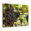 «I Am The Vine John 15: 5 Christian Wall Art Bible», impression de verset prêt à être accroché-1360552084