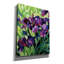 «Epis Graffiti» «Mauve Iris» par Katrina Pete, art mural sur toile-106171532