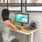 Monitor Desk Mount-111400450