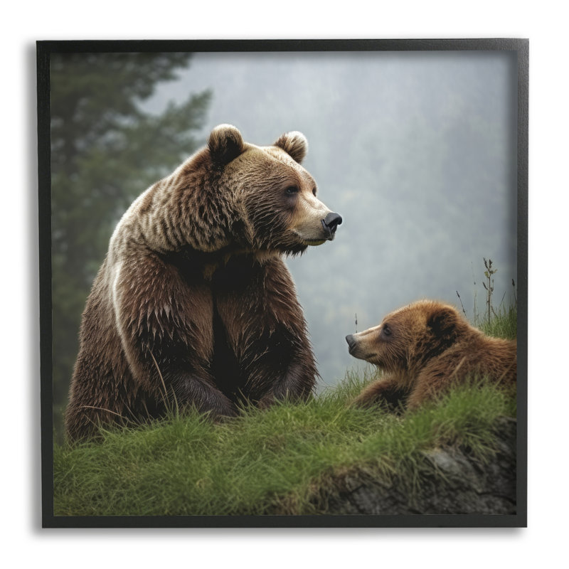 «Bear & Cub Relaxing», reproduction de photo sur toile, H 24 po x l 24 po, Giclée encadrée noir minuit