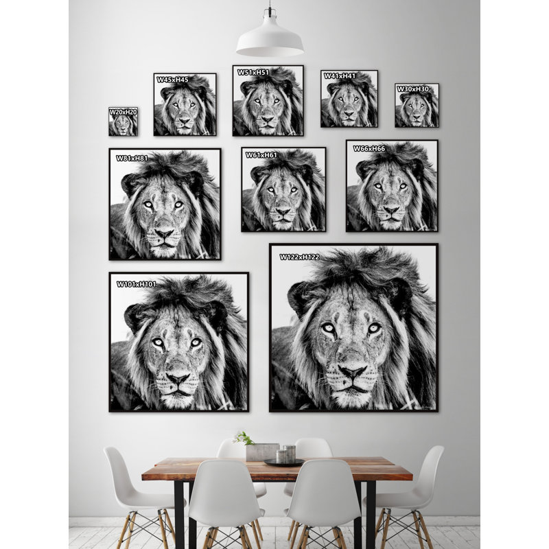 Mighty Lion by Marmont Hill - Floater Frame Painting on Canvas, 30cm H x 30cm W