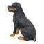 Statue assis rottweiler