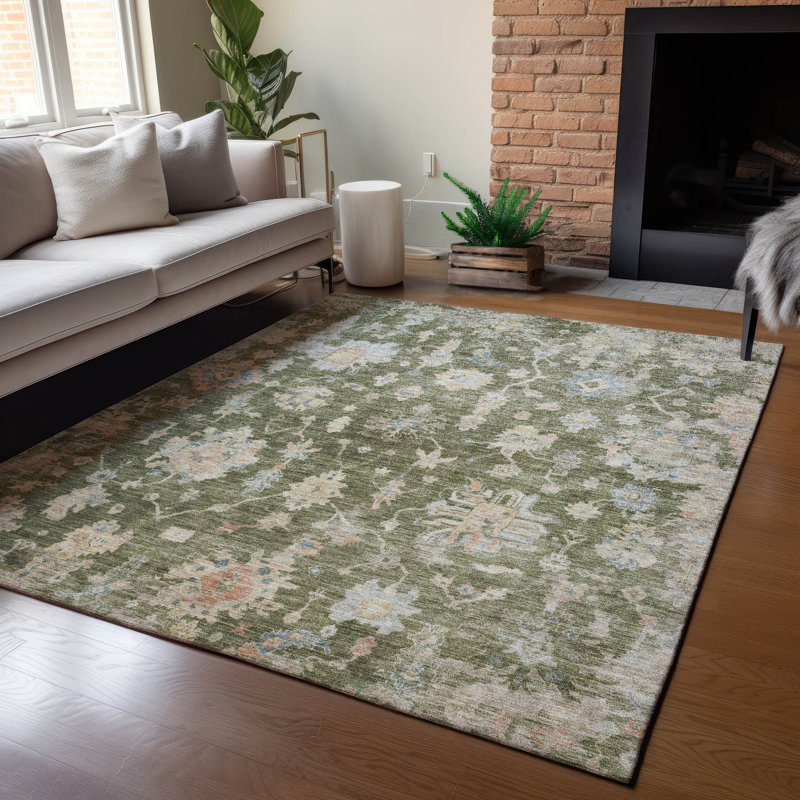 Machine Washable Indoor/Outdoor Chantille ACN2355 Traditional Rug, Rectangle 9' x 12'
