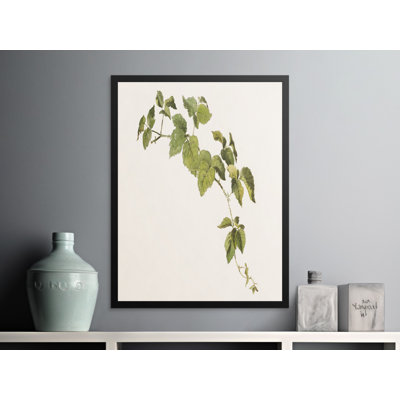 Verena Print