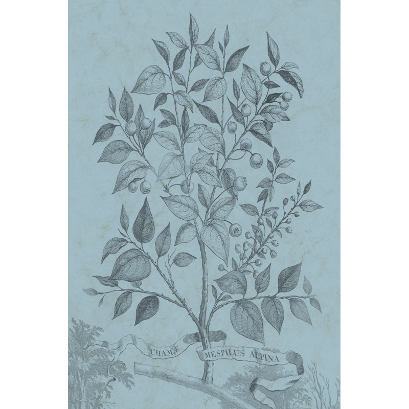 Botanical On Teal V by Vision Studio - Wrapped Canvas Painting, 46cm H x 30cm W