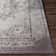 Aoi Chenille Oriental Indoor Rug