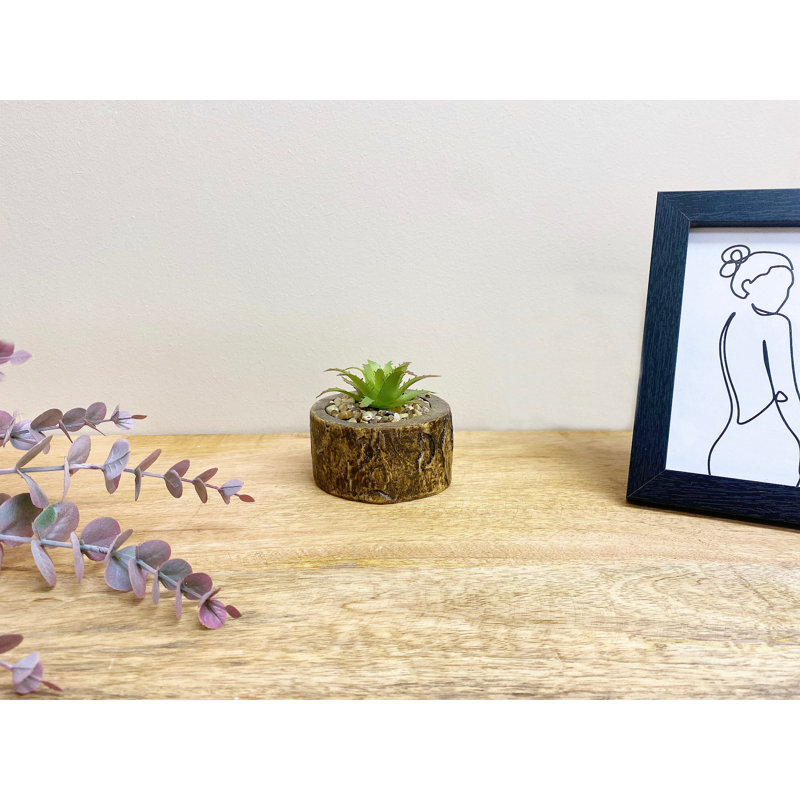 8cm Faux Succulent Plant in Cement Pot