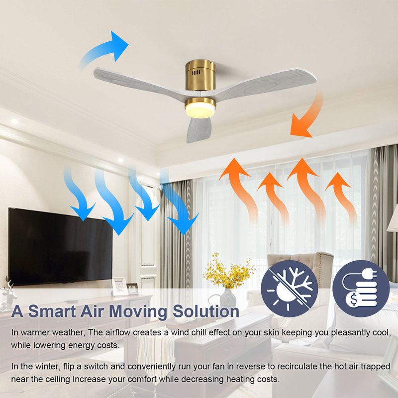 Ventilateur de plafond moderne de 52 pouces avec pales réversibles et télécommande, Doré, Bois gris