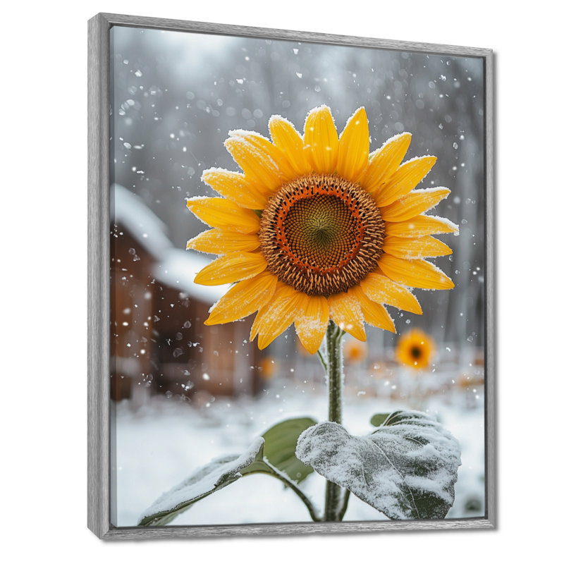 Art sur toile, tournesols de Gayden Country Side In A Snowy Barnyard II, H 40 po x l 30 po, Reproduction avec cadre flottant