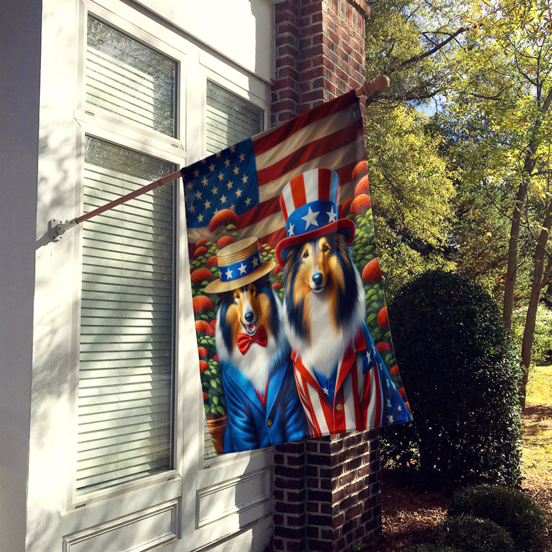 Drapeau «All American House», Colley