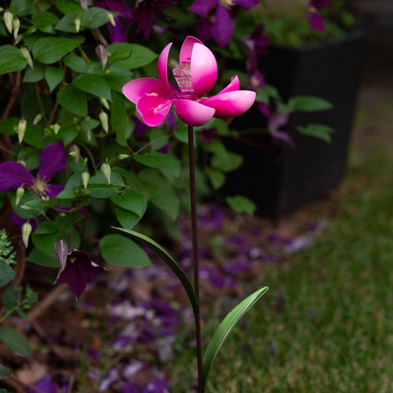 Piquet de jardin Plants & Flowers, Rose