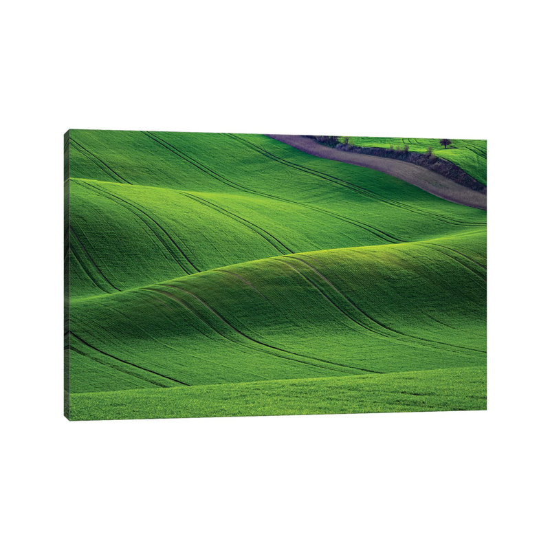 Europe, Czech Republic. Moravia Wheat Fields. 1 Piece Wrapped Canvas Wall Art, 66.04cm H x 101.6cm W x 1.905cm D