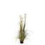 Faux Pampas Grass Grass in Pot-70917897