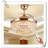 Museau Ceiling Fan with LED Lights-110063106