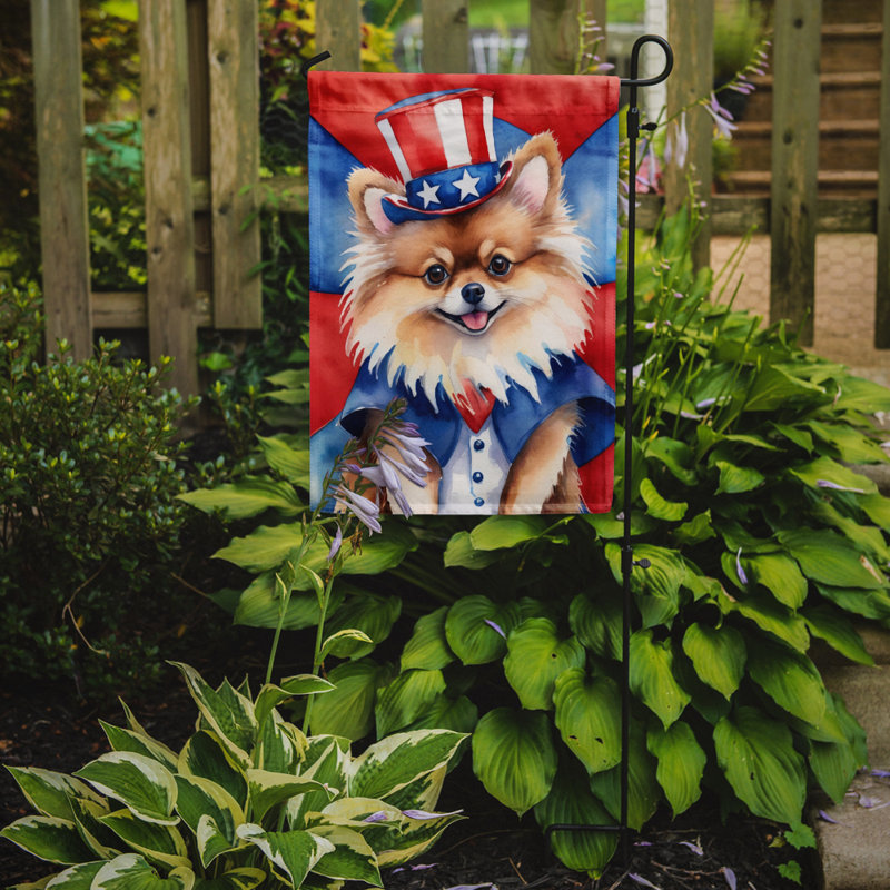 Drapeau patriotique du jardin américain, Loulou de Poméranie brun