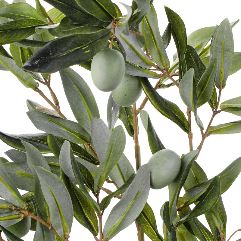 38" Andalusia Olive Branch
