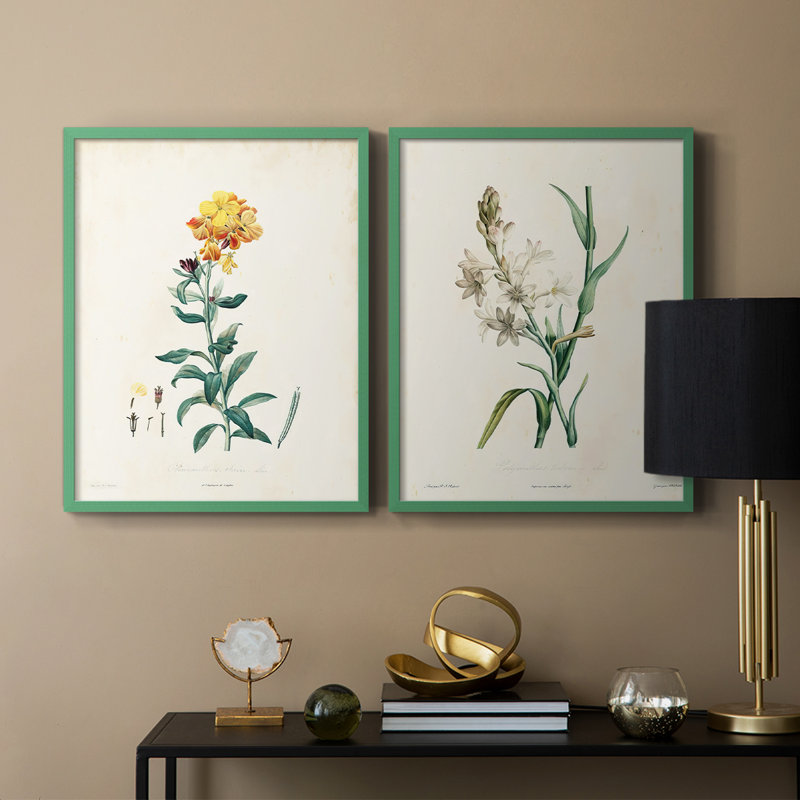 Traditional Botanical III - reproduction encadrée de qualité supérieure - prête à être accrochée - aucun clou requis - aucun clou requis