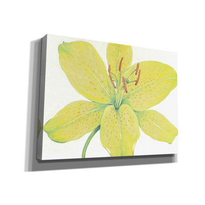 «Citron Tiger Lily I» par Tim O'toole, art mural sur toile