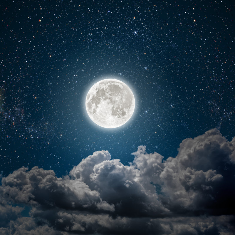 Night Night - Photographie sur toile tendue, H 12 po x l 12 po x P 1,25 po