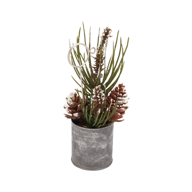 Anahera Collection Place Cold Holder