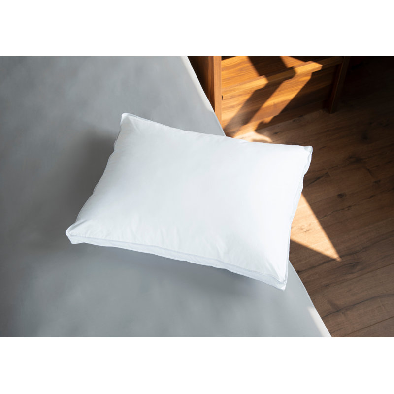 Coussin Arias, Grand