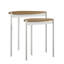 Monestime Nesting Tables-200126302