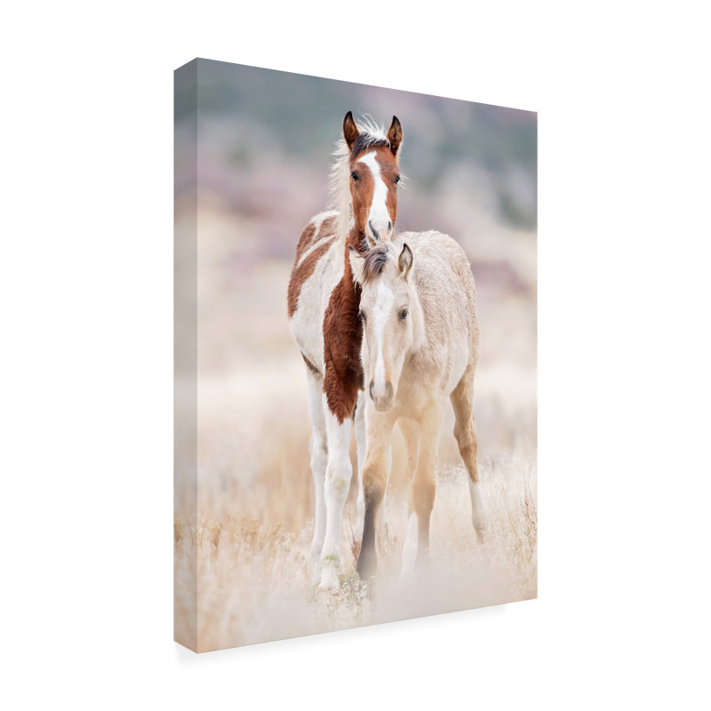Phburchett, «Collection Of Horses X», art sur toile, H 47 po x l 35 po