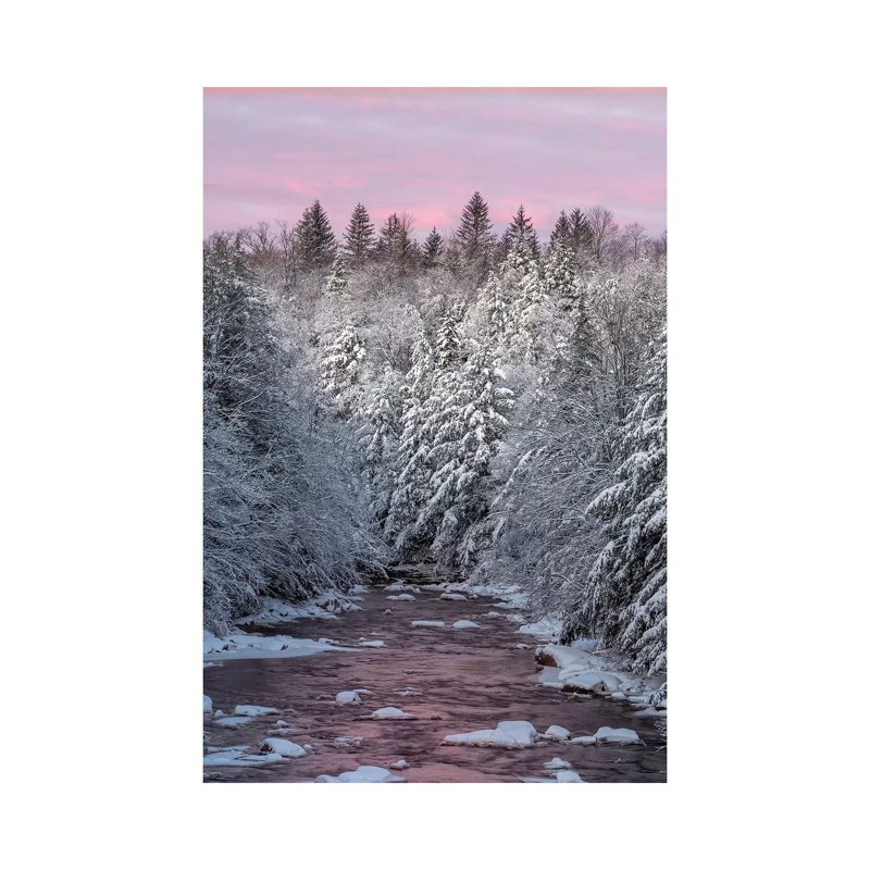 USA, West Virginia, Blackwater Falls State Park Forest and Stream in Winter 1 Piece Wrapped Canvas Painting