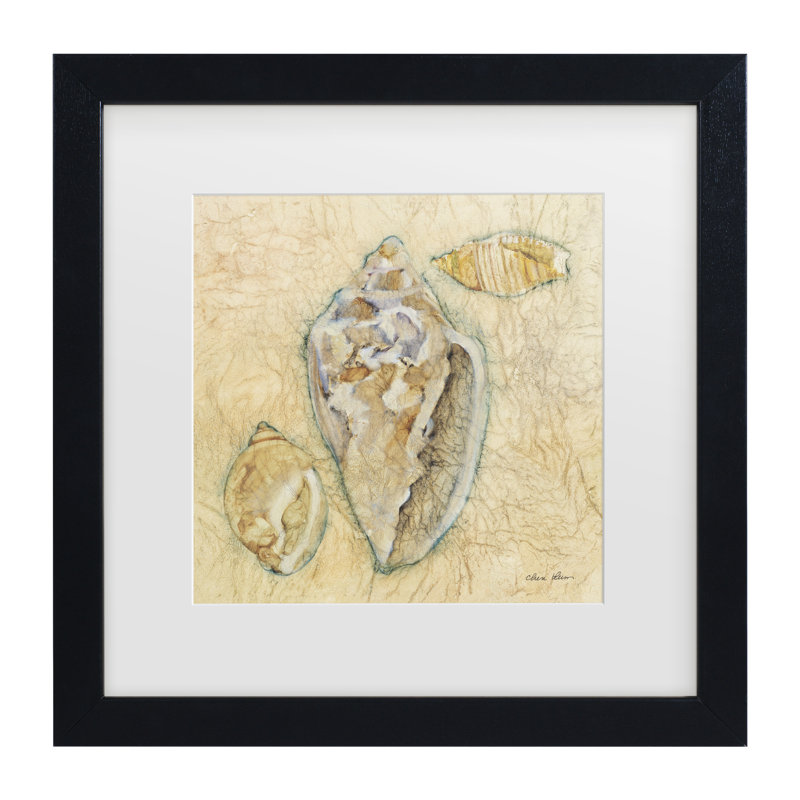 «Cheri Blum Shells IV Matted», art encadré, H 13 po x l 13 po, Noir, noir, noir, noir
