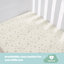 Safe Nights Fitted Sheets-1719191044-1648875015