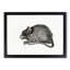 A Mouse by Jean Bernard - Framed Print-55453458-55453460