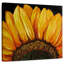 Tournesol Harnek-109204091